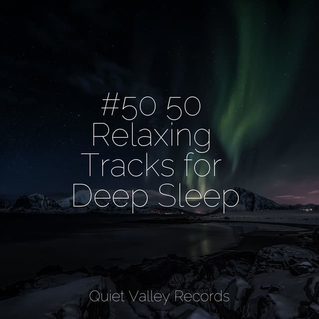 #50 50 Relaxing Tracks for Deep Sleep - Rain Drops for Sleep