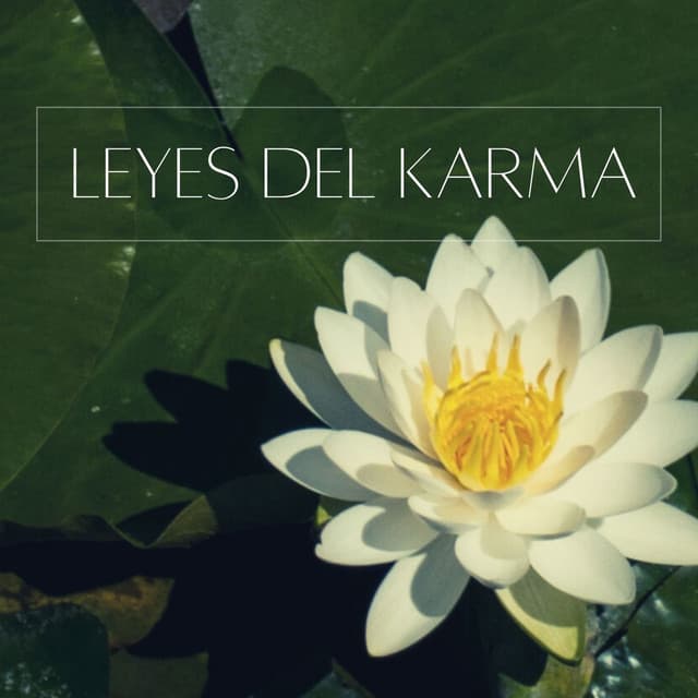 Leyes del Karma: Música de Calma y Limpieza Espiritual, Canciones Budistas - Relajacion Ariel