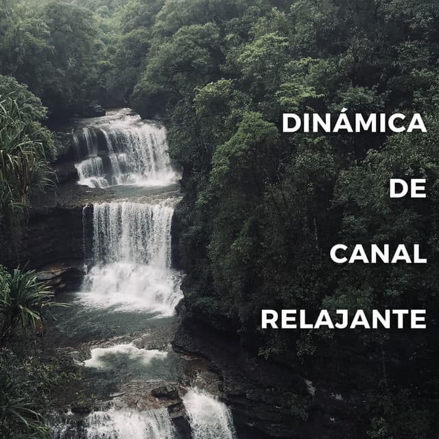 Dinámica De Canal Relajante - Artistas de sonidos de la naturaleza
