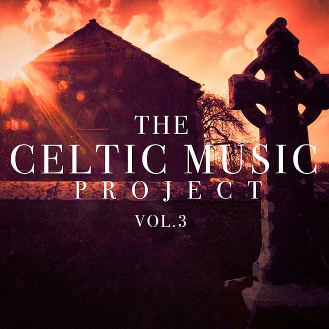 The Celtic Music Project, Vol. 3 - Irish Celtic Music