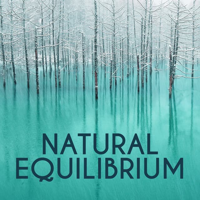 Natural Equilibrium - Nature Sounds Meditation