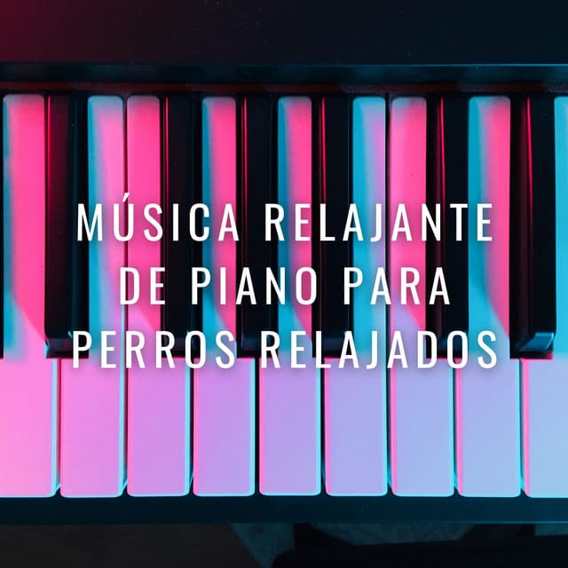 Sueños Tranquilos De Perros Junto Al Fuego: Música Relajante De Piano Para Perros Relajados - Pianos pacíficos