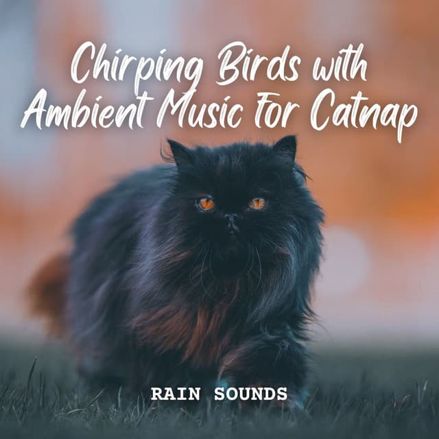 Rain Sounds: Chirping Birds with Ambient Music for Catnap - Rainy Day Music