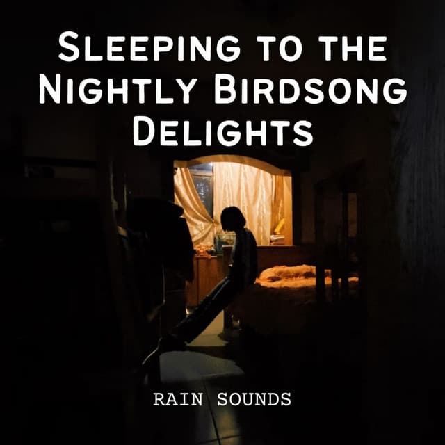 Rain Sounds: Sleeping to the Nightly Birdsong Delights - Rain is my Life