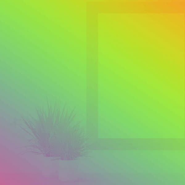 Festive Ambiance for Loafing Evening - Descansar Musica