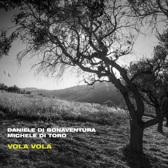 Vola vola - Daniele di Bonaventura