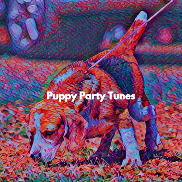 Puppy Party Tunes - Sunday Morning Music