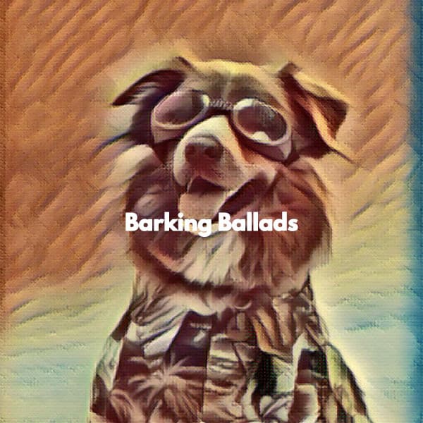 Barking Ballads - Musica para Dormir Momentos