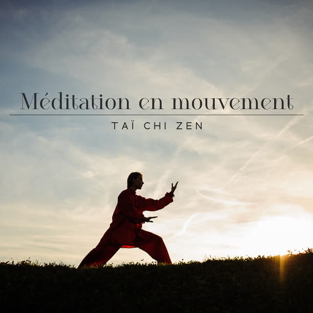 Méditation en mouvement: Taï chi zen, Musique pour le bien-être, Musique chinoise, Spa et Yoga détente - Ensemble de Musique Zen Relaxante