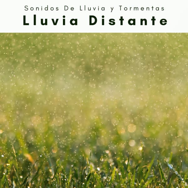 A Lluvia Distante - Sonidos De Lluvia y Tormentas