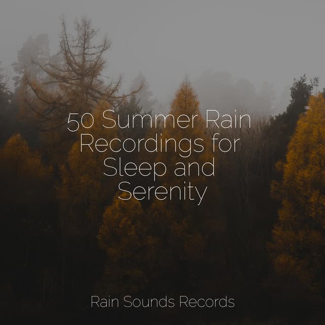50 Summer Rain Recordings for Sleep and Serenity - Brain Study Music Guys