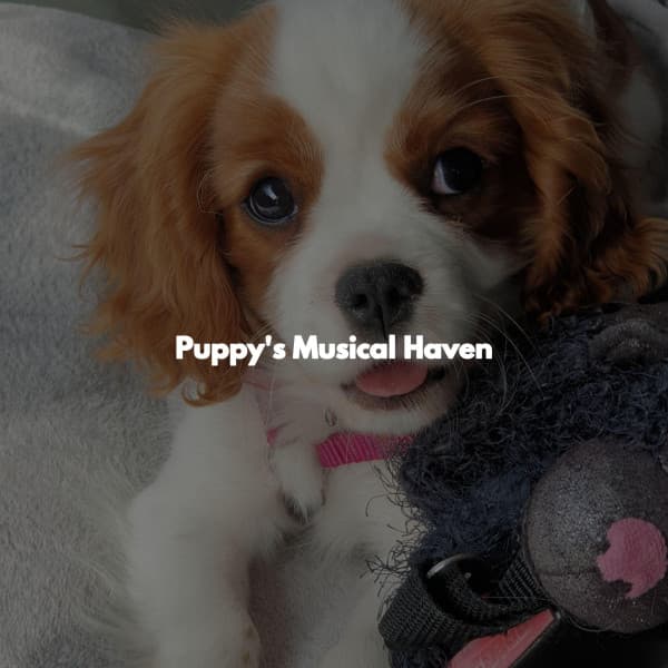 Puppy's Musical Haven - Coffee Shop Smooth Jazz