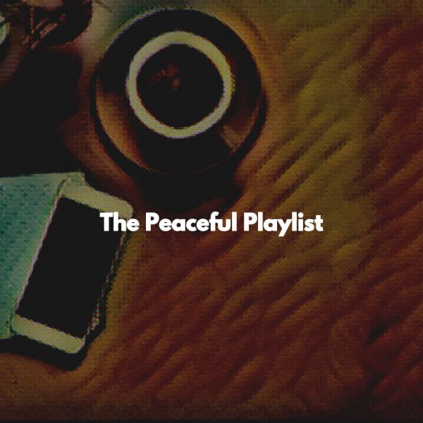 The Peaceful Playlist - Reading Background Music Playlist