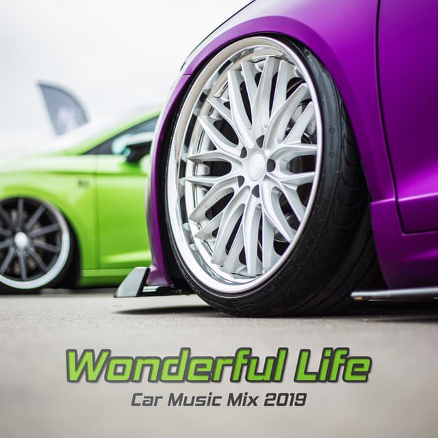 Wonderful Life: Car Music Mix 2019 - Best Electro House, Party Dance, Summer Cocktail - Tropical Chill Paradise
