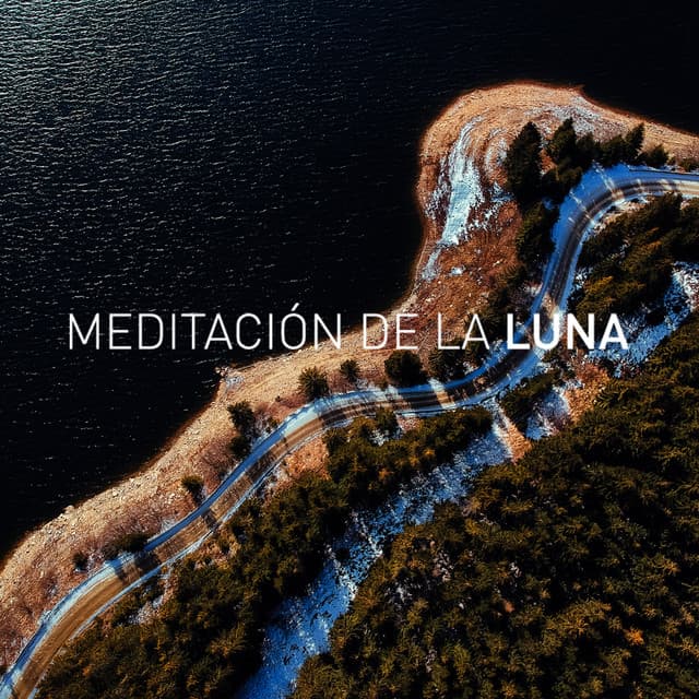 Vibrations - Luna Tunes