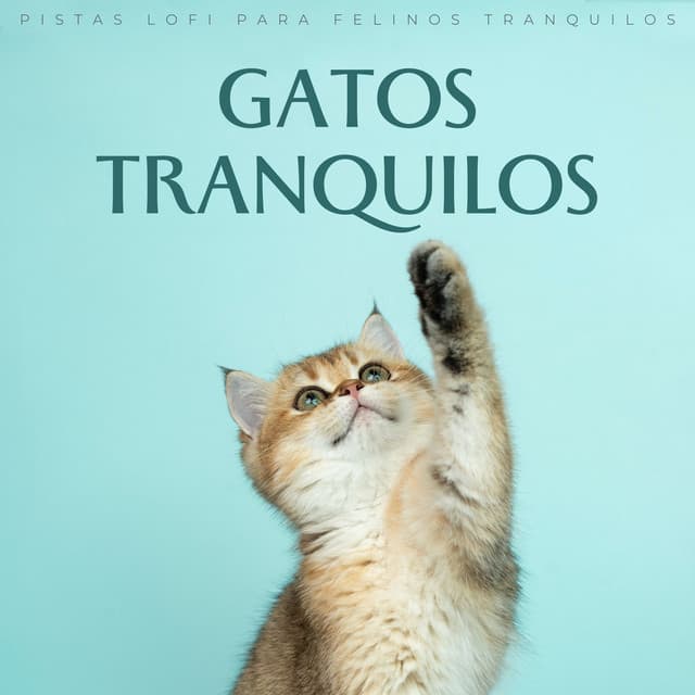 Gatos Tranquilos: Pistas Lofi Para Felinos Tranquilos - Resplandor Lofi