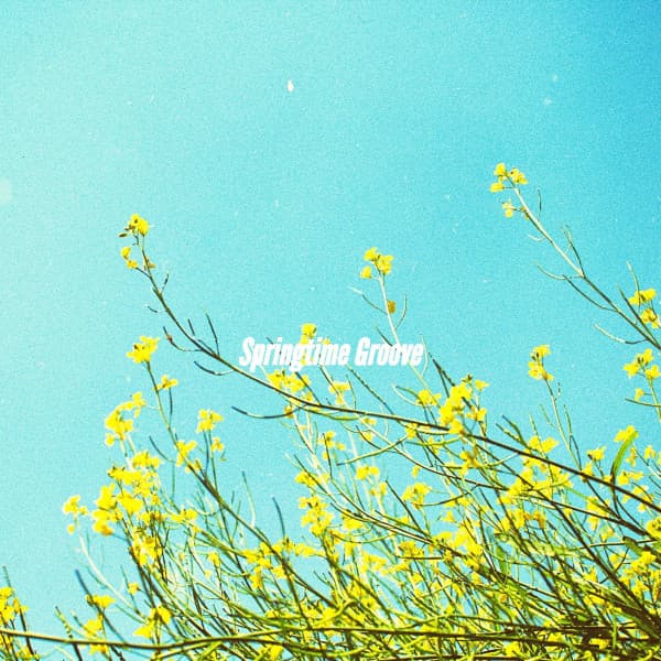 Springtime Groove - Sunday Morning Music Classics