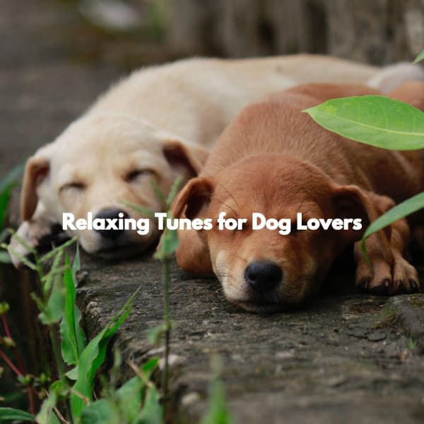 Relaxing Tunes for Dog Lovers - Easy Listening Sunday Morning Music