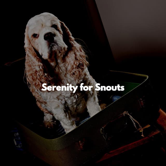 Serenity for Snouts - Dog Separation Anxiety Music