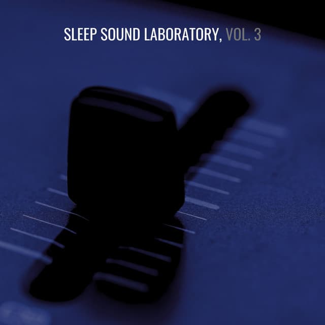Sleep Sound Laboratory, Vol. 3 - Sound Traveller