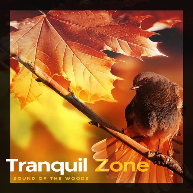 Tranquil Zone - Sound Of The Woods