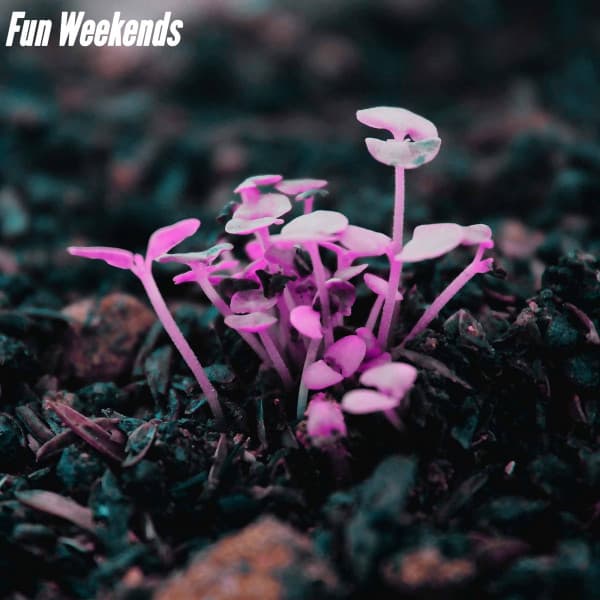 Fun Weekends - Musica di Sottofondo Jazz