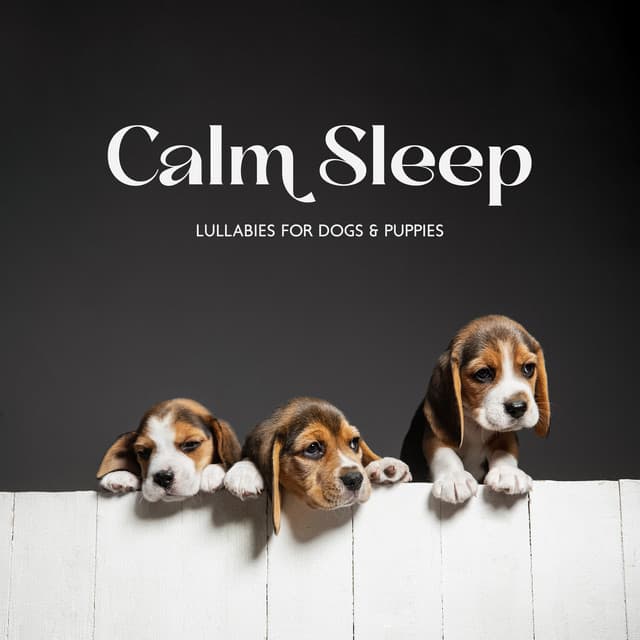 Calm Sleep Lullabies for Dogs & Puppies: Soothing Music to Help Your Puppy Go to Sleep at Night, Relaxation Bedtime Songs - Pet Care Club