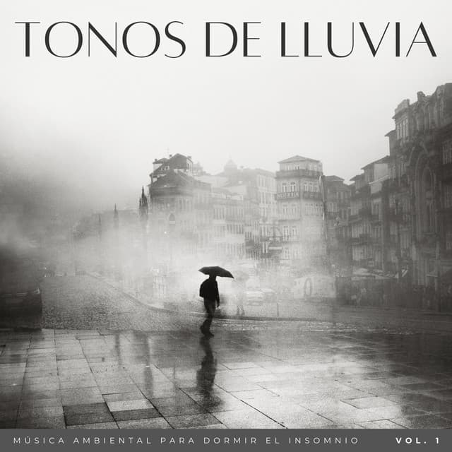 Tonos De Lluvia: Música Ambiental Para Dormir El Insomnio Vol. 1 - Lluvia tranquila para dormir