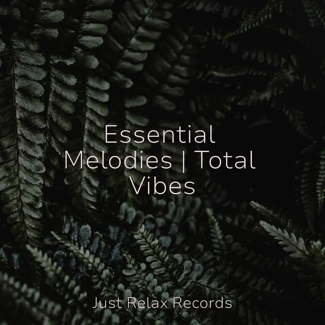 Essential Melodies | Total Vibes - Chakra Balancing Sound Therapy