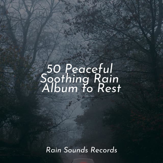 50 Peaceful Soothing Rain Album to Rest - Musica de Relajación Academy
