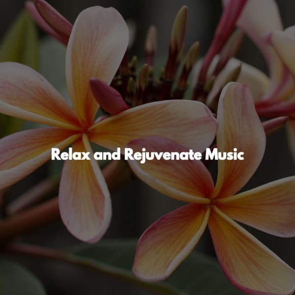 Relax and Rejuvenate Music - Spa Day At Home