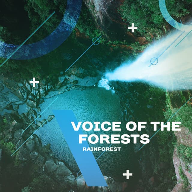 Voice of the Forests - Rainforest