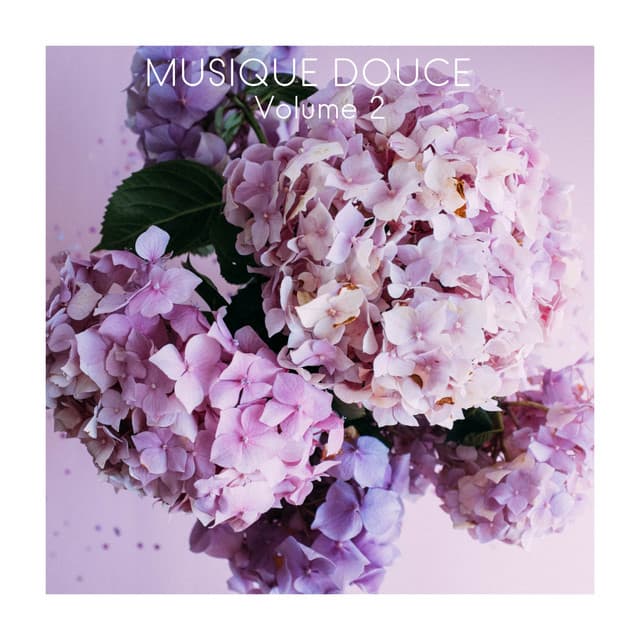 Musique Douce, Vol. 2 - Musique Zen Garden
