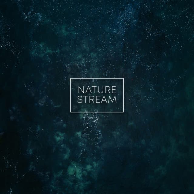 Nature Stream - Rain Sounds & Nature Sounds