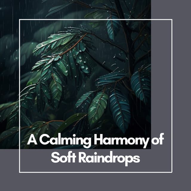A Calming Harmony of Soft Raindrops: Flute Music for Peaceful Reflection - Relax Flute Music