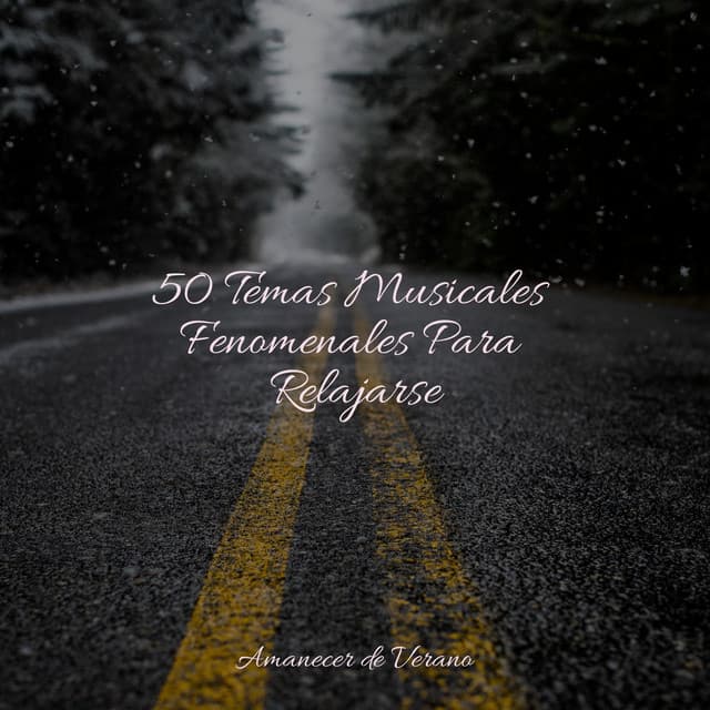 50 Temas Musicales Fenomenales Para Relajarse - Smart Baby Lullaby