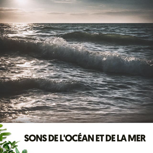 Sons de l'Océan et de la Mer: Mélodies de l'Eau et du Rocher - Ruido Blanco Hart