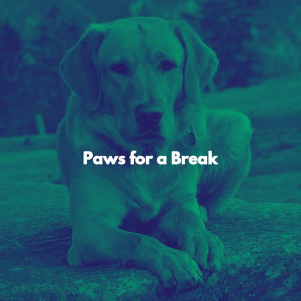 Paws for a Break - Coffee Table Jazz