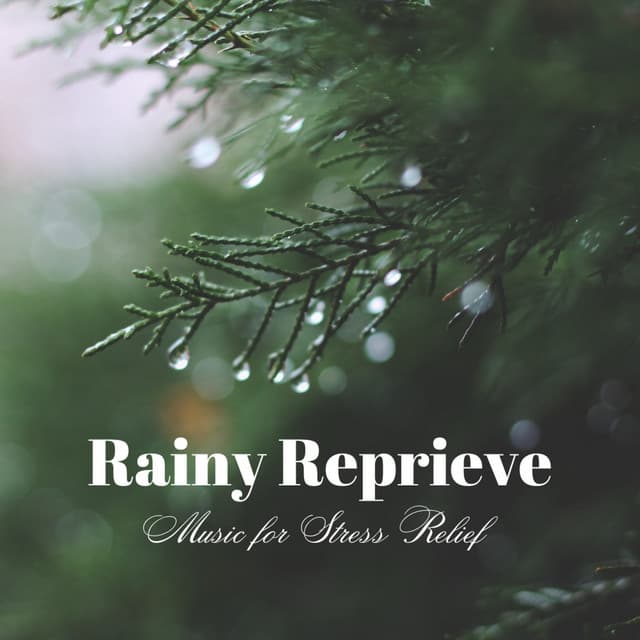 Rainy Reprieve: Music for Stress Relief - Rainy Lullaby