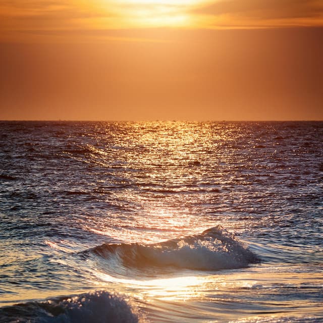 Música Para La Relajación Diaria: Ritmos Suaves - Música Pura Relajación