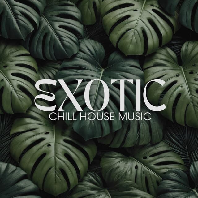 Exotic Chill House Music - Tropical Chill Music Land