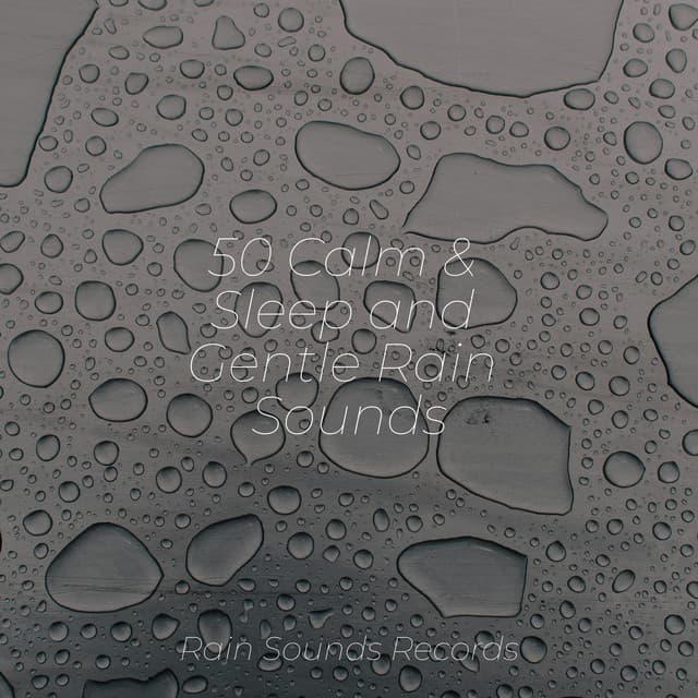 50 Calm & Sleep and Gentle Rain Sounds - Musica Romantica