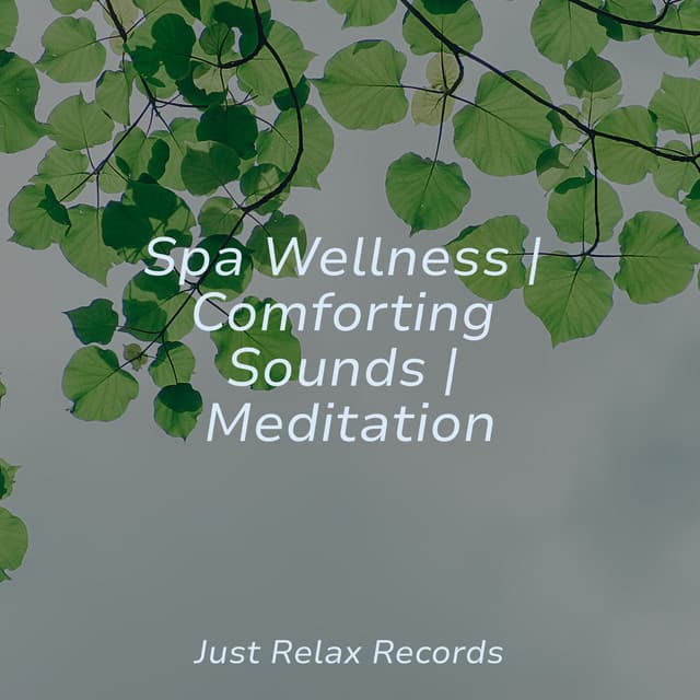Spa Wellness | Comforting Sounds | Meditation - Calming Sounds