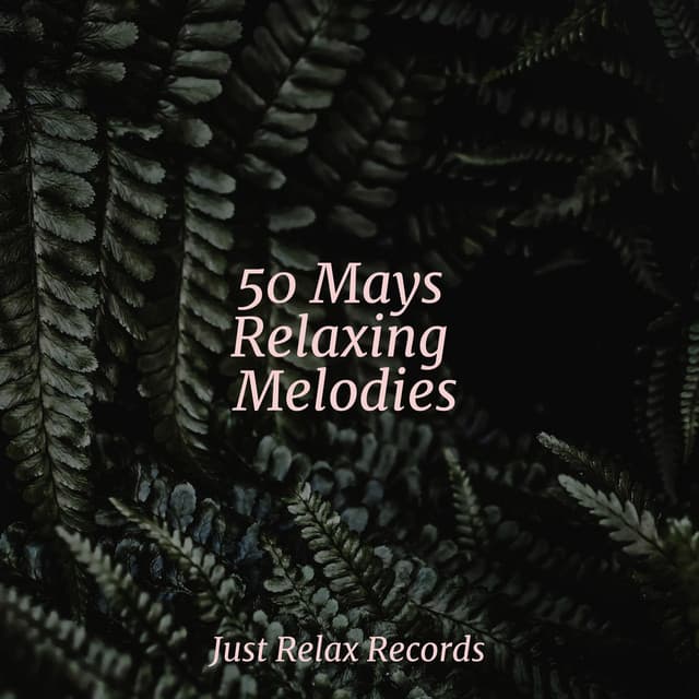 50 Mays Relaxing Melodies - Meditation