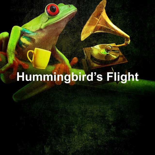Hummingbird’s Flight - Natureza
