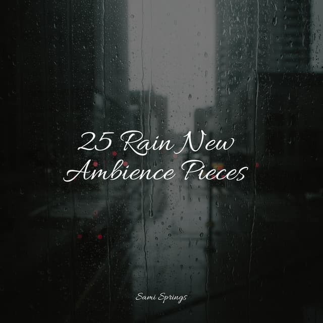 25 Rain New Ambience Pieces - Classical Study Music