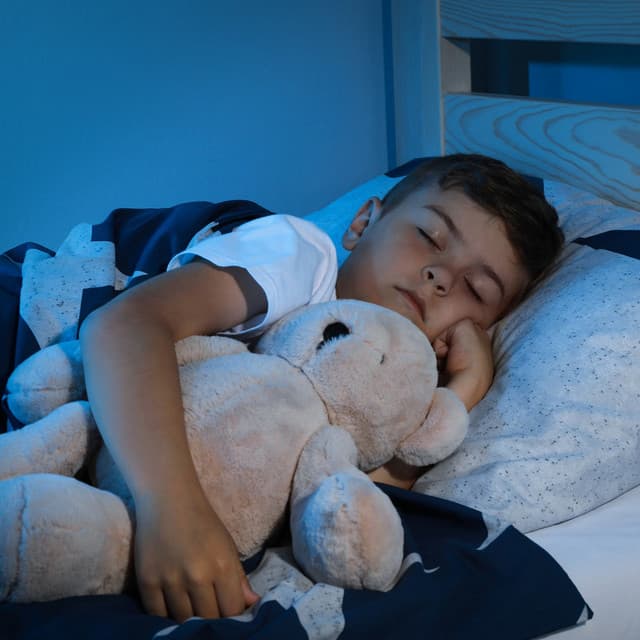 Night Sounds Melodies: Peaceful Tunes for Rest - Perfect Harmony Music