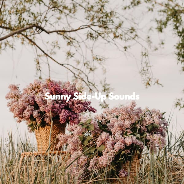 Sunny Side-Up Sounds - Jazz Saxophone Playlist