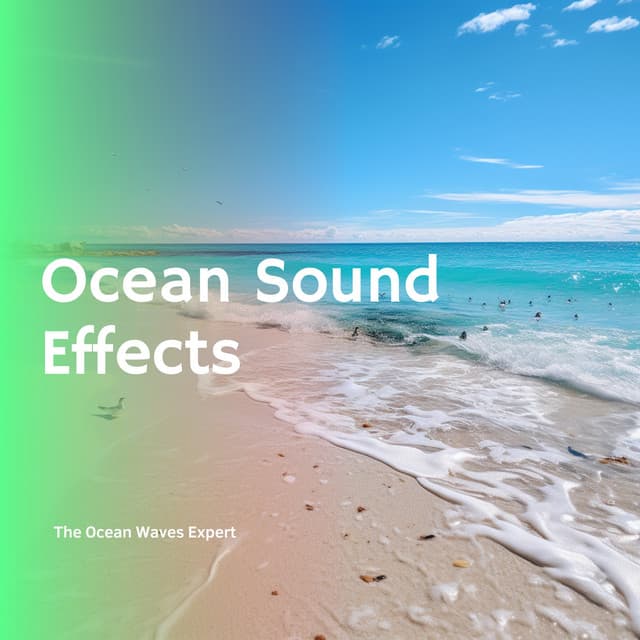 Ocean Sound Effects - The Ocean Waves Expert