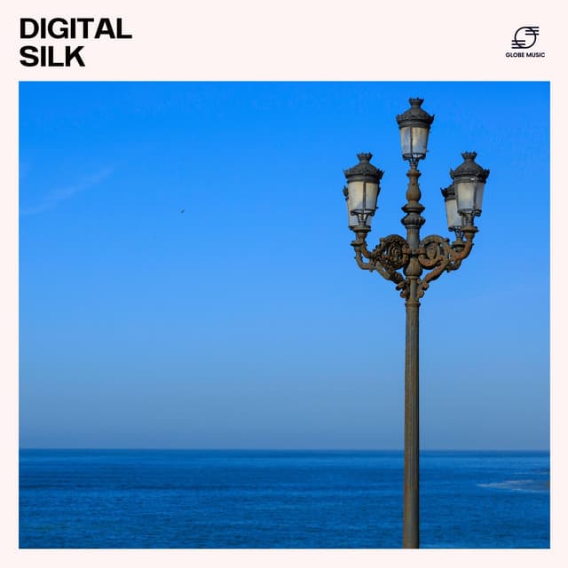 Digital Silk - Deep House Nation